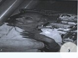 Found Person Image